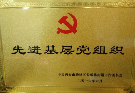 先进党组织